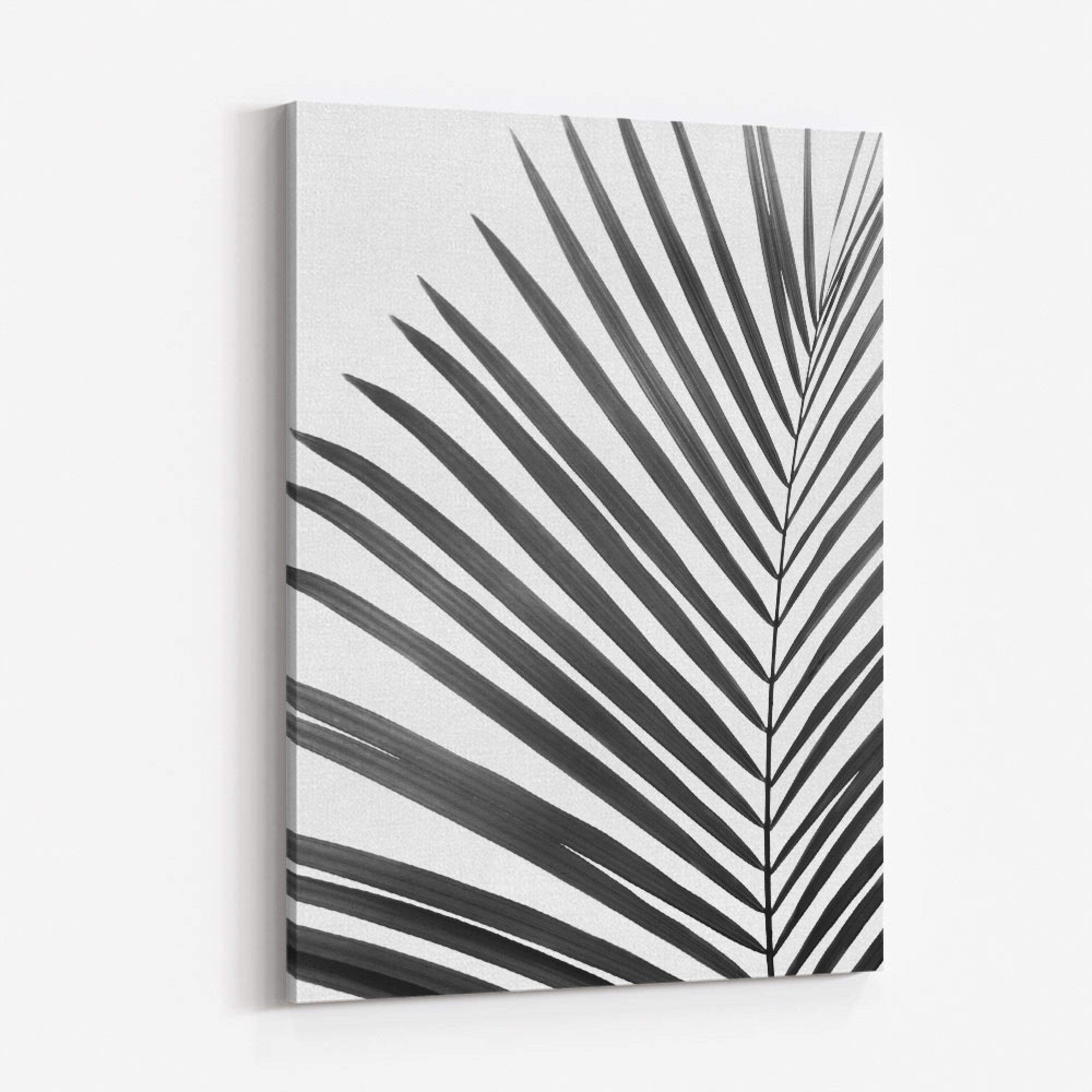 BW Palm Leaf Wall Art